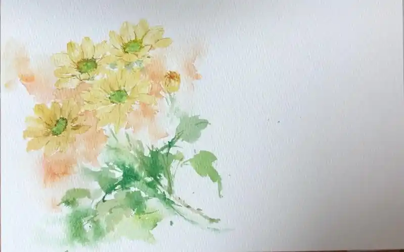 01 |水彩手绘花卉 小黄菊