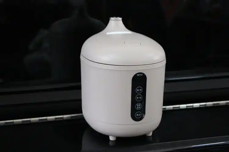 食材的馈赠 | 诗杭迷你电饭煲·让生活更精致