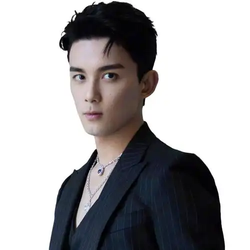 一个普通人对当红偶像剧男明星的颜值印象 - 知乎