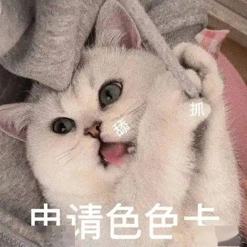 污污瑟瑟撩人色色表情包