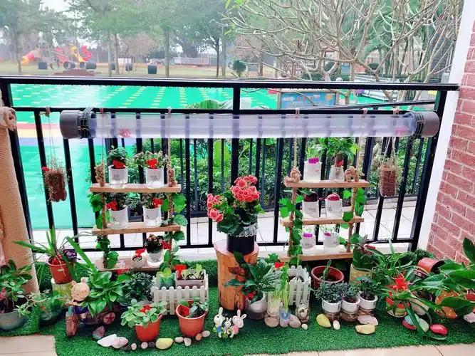 小小自然角,悠悠大世界——记福山中心幼儿园植物角创设