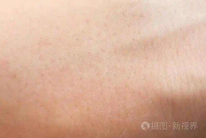 人体皮肤的宏量人体皮肤纹理
