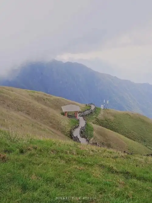 72五月初的武功山草甸正变绿万物可爱