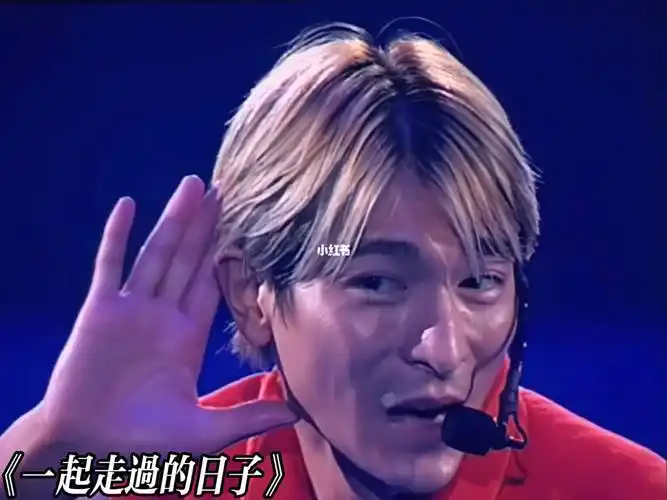 刘德华1999香港红馆经典演唱会 个人觉得最棒的live之一 经典再现几首