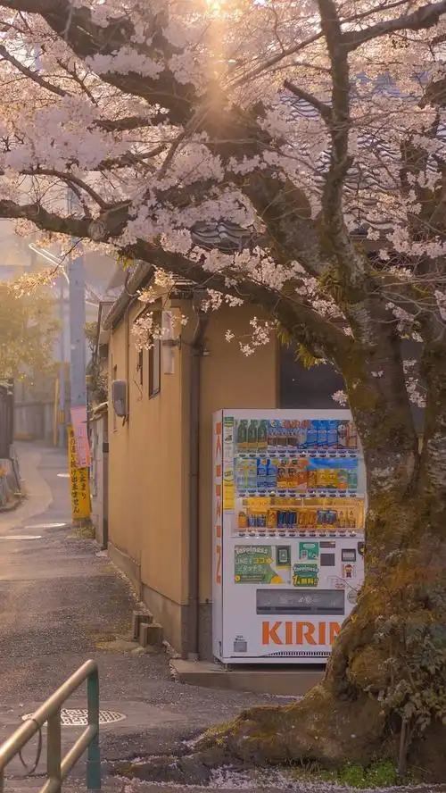 想看看大家的vx聊天背景