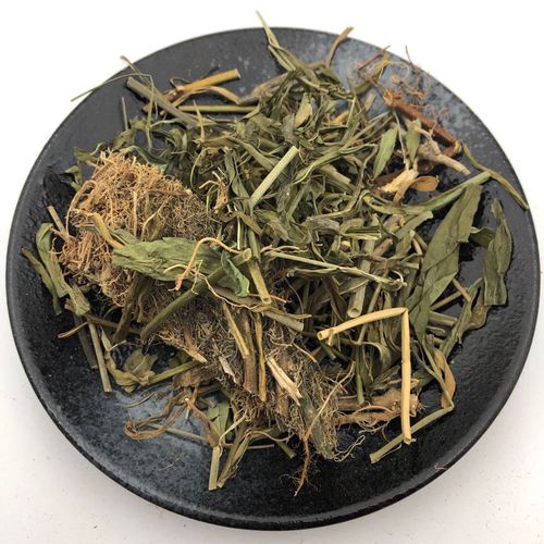 新鲜晒干柳叶白前 水杨柳 竹叶白前鹅管草白前中草药材500克