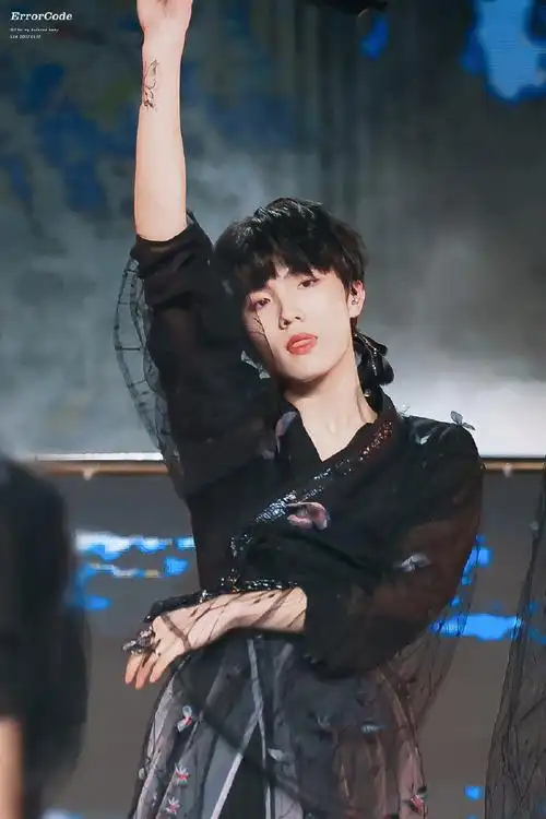 苏新皓舞台直拍