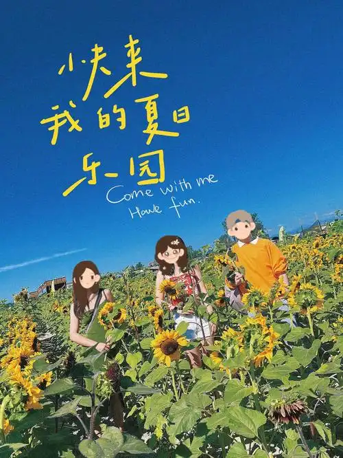 西雅图向日葵花田攻略苏打绿专辑封面