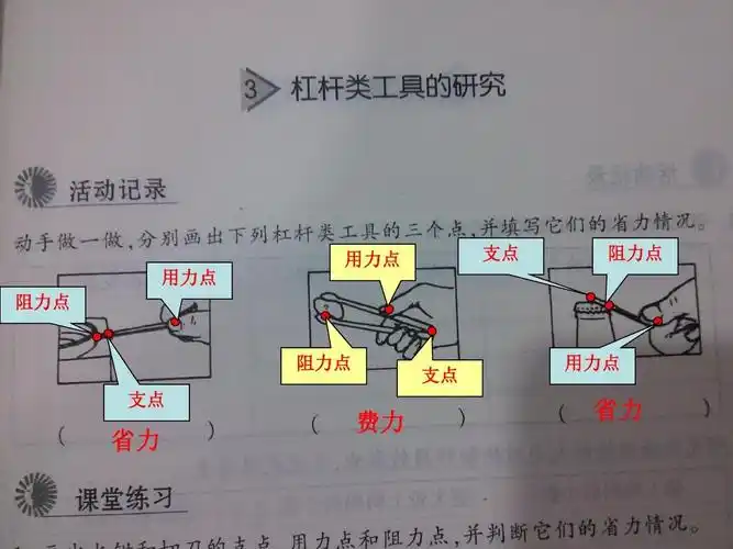教科版 小学科学 六年级上册 第一单元1-3课作业本校对答案ppt