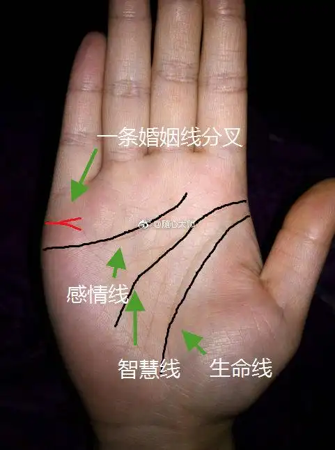 婚姻线是判断一个人婚姻质量和婚姻观念的,. 来自随心大师 - 微博