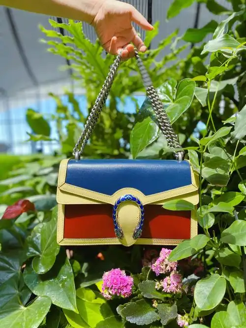 gucci酒神独特拼色