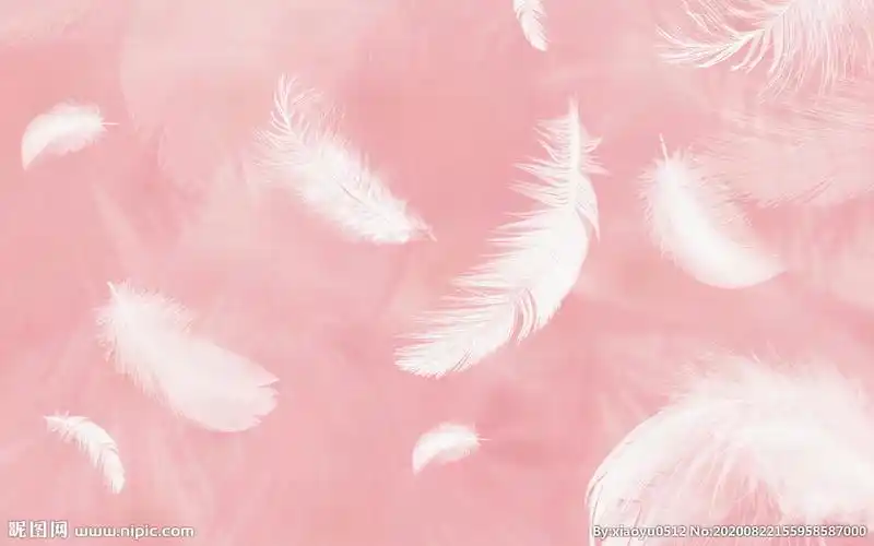 粉色羽毛背景墙图片