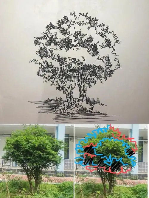 风景速写学习素材