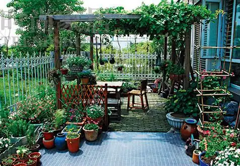 花园设计效果图如何打造杂货小花园