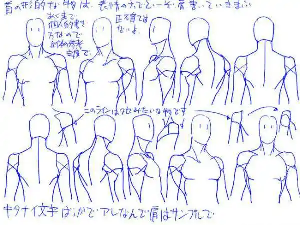 侧身动漫人物的肩怎么画