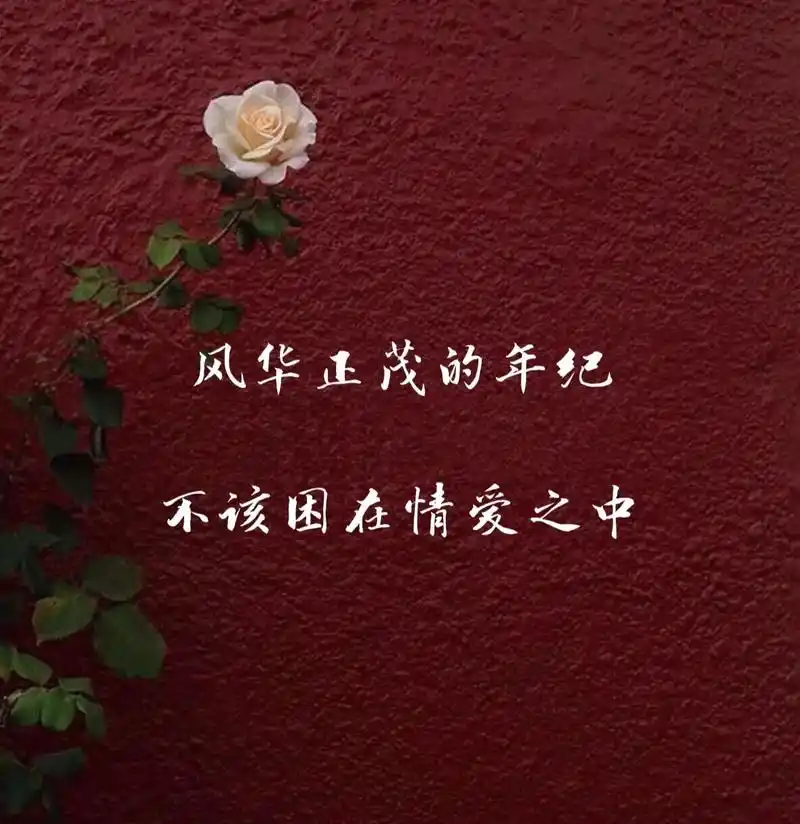 本来不想发的 但文案太走心 图片太好看 音乐太好听 实在没忍 - 抖音