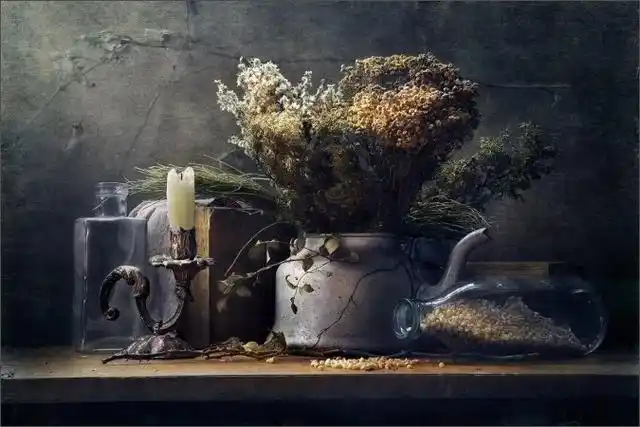 俄罗斯摄影师anatolyche古典文艺气息的静物摄影