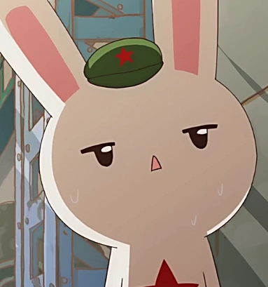 那年那兔那些事儿