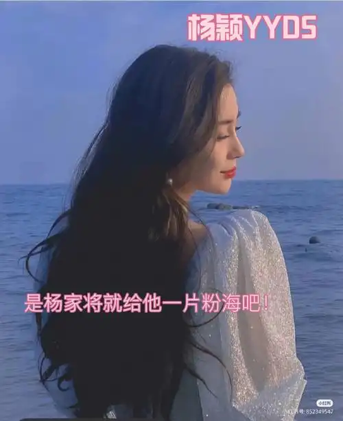 向全世界安利杨颖