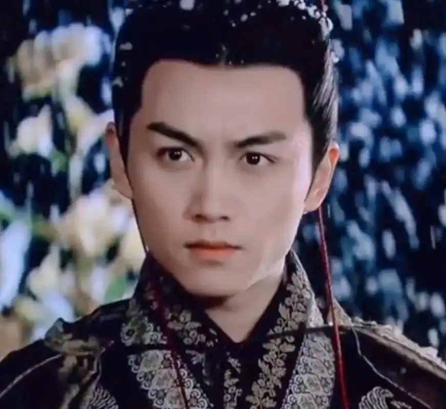 "说什么王权富贵" "世上安得两全法" #陈晓 #陆贞传奇 #高湛