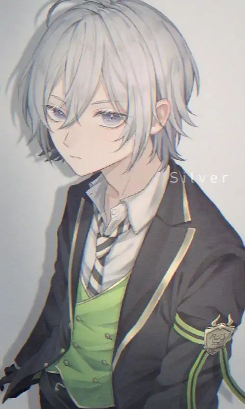 银发少年artist:しおしはtwi:c_th9u#唯美的男生头像