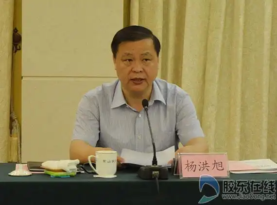 市委常委,政法委书记杨洪旭出席会议并作重要讲话