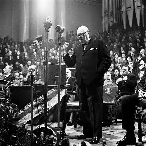 "二战三巨头"之一的温斯顿·丘吉尔,是出了名的爱猫大咖.