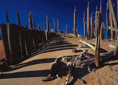 罗布泊惊现复制人揭秘双鱼玉佩神秘事件