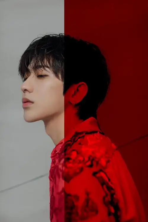 蔡徐坤红玫瑰衬衫光影写真图片