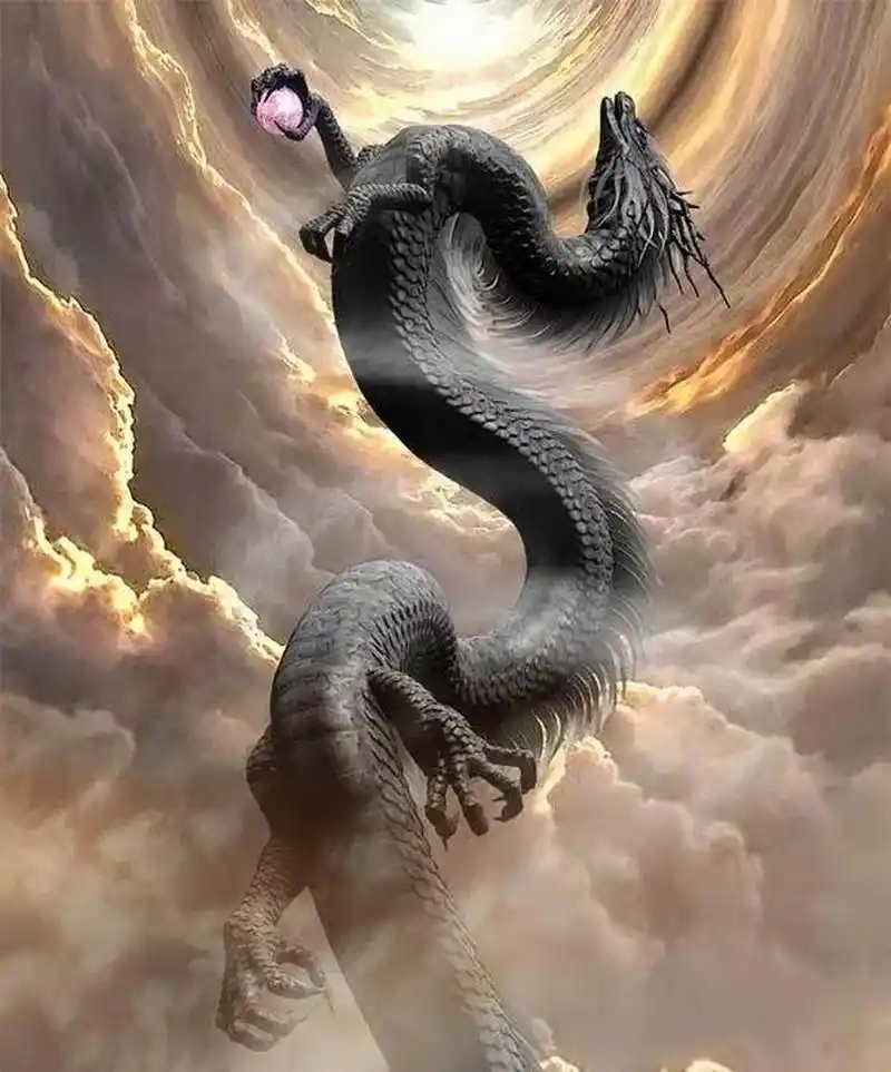 一条全黑的龙在低空中盘旋,我正要指给姐姐看,黑龙突然俯冲下来将我