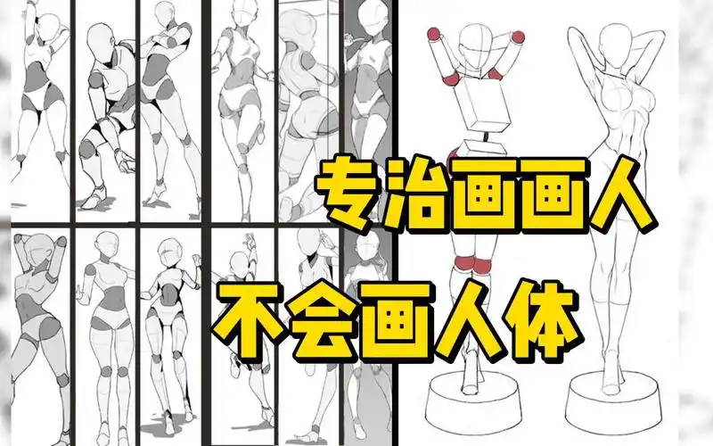 上千张高质量人体临摹练习模板!专治画画人不会画人体!