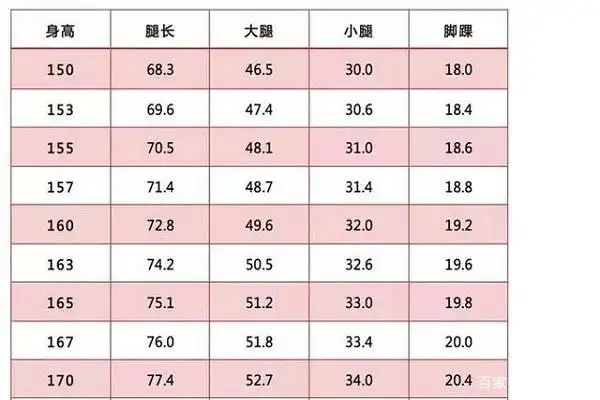 美腿腿围标准对照表