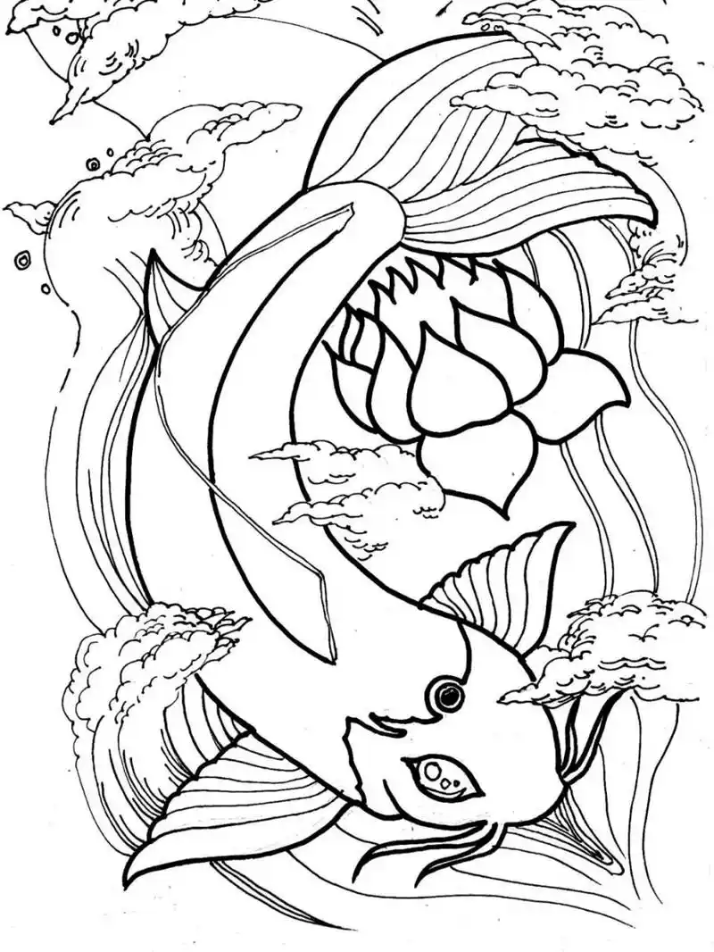 黑白线描95|锦鲤 儿童成人均可绘画 步骤在图二图三 材料|笔73