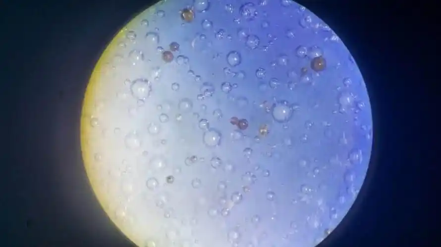 教你利用气泡鉴定瓷器(一)