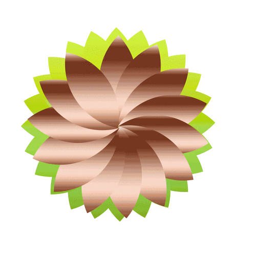 1920_1920gif 动态图 动图