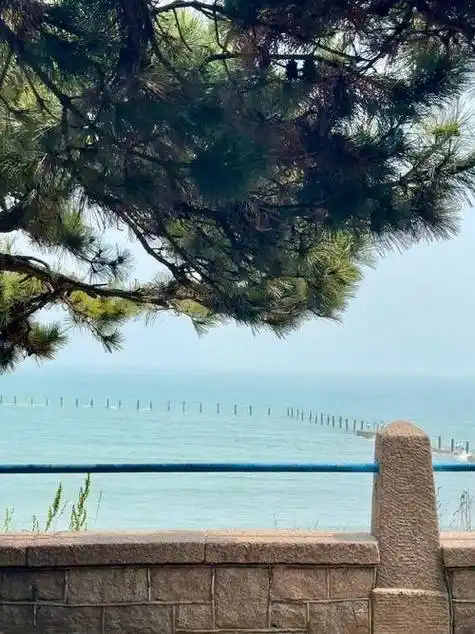 青岛四天游玩景点推荐青岛八大关4日游最佳游玩景点大全