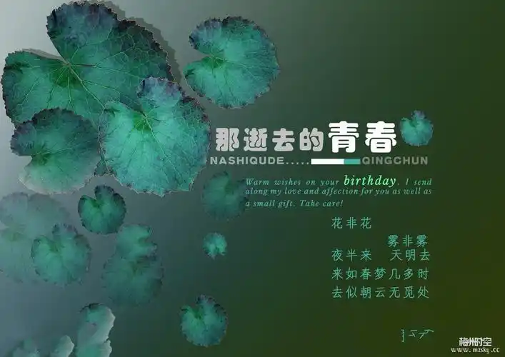 【缅怀逝去青春十五】讨债,回家,看妈