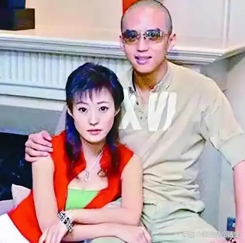 郝蕾和刘烨离婚后独自一人养育双胞胎儿子如今怎么样了