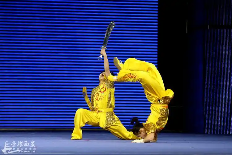 中国真功夫2014武术对练年终总决赛