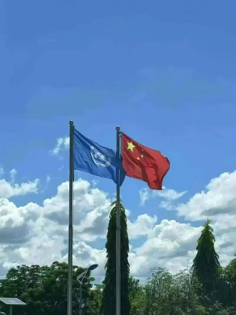 结束一年异国异地#维和步兵营 欢迎回家～92#团聚便是家 - 抖音