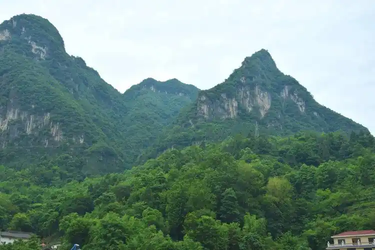 倾情湖北(二)神农架_大山