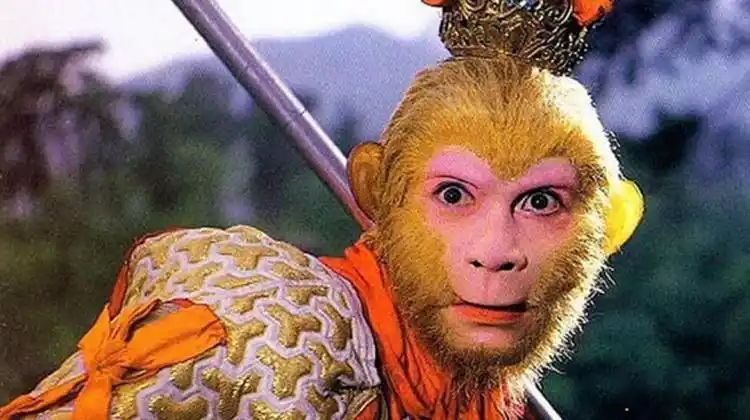 唐僧师徒四人的性格特点优质