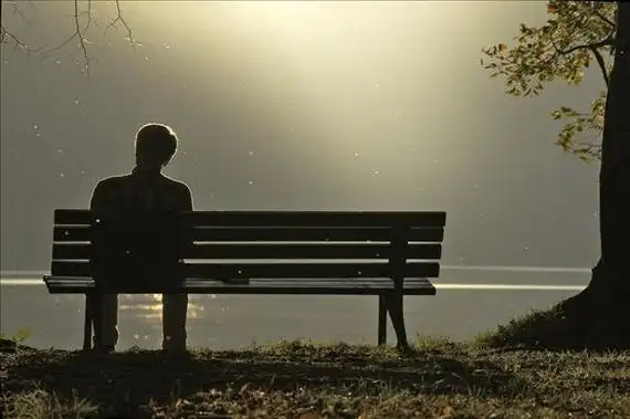 克雷洛夫4,一个博学者的思考,不如三个普通人的商讨.