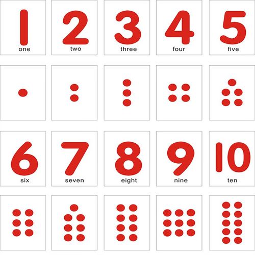 逸星熊数字卡片1-10 儿童数字卡片宝宝启蒙早教幼儿园认数识数1-10