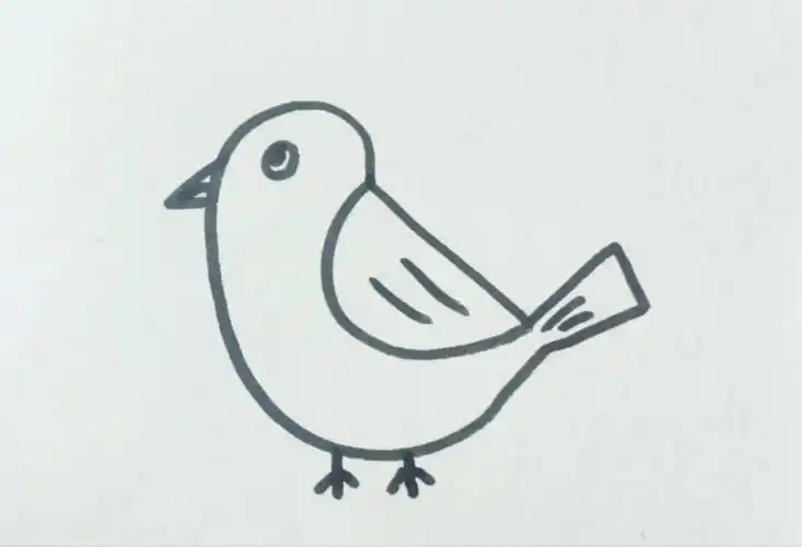 手绘小鸟教程!【绘画教学】