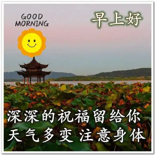 清晨早上好问候祝福动态表情图片最新早安问候祝福图片带字