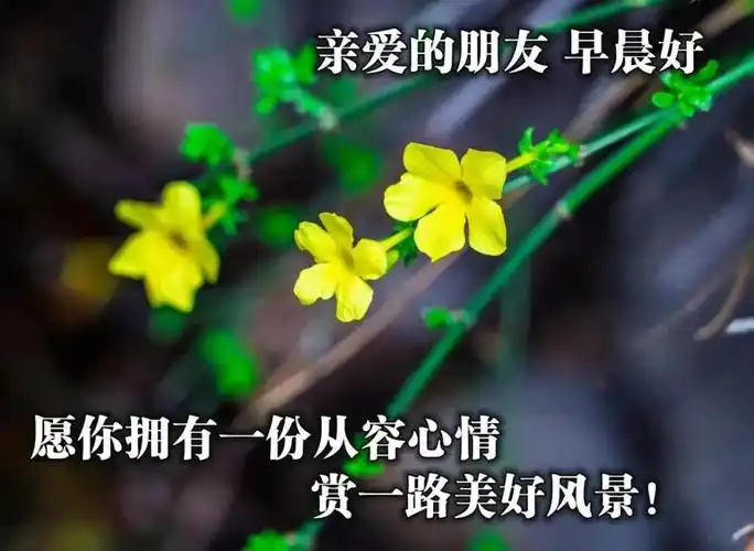 2021年3月26日星期五清晨早上好祝福动态表情图片周五最新早安问候