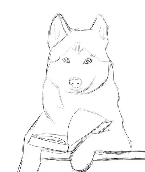 有学问的哈士奇#狗狗98 #插画  #手绘  #板绘