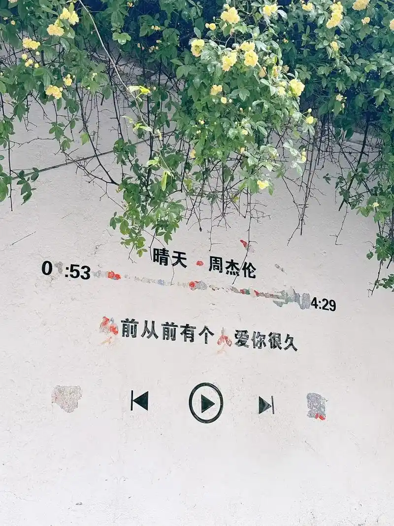 晴天歌词聊天背景图高清