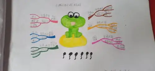 一年二班生字篇章思维导图(二)